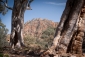 Bunyeroo Gorge in South Australia's Flinders Ranges National Park.