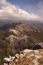 Clytemnestra photographed on the way to Frenchmans Cap in Tasmania.