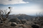 Mt Feathertop on the Bogong High Plains. Taken from The Jaithmathangs.