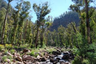 The river valley closes in ahead and becomes nothing but steep gorges.