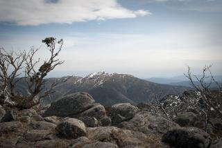 Feathertop from The Jaithmathangs. Feathertop gets it's name from the "feathers" of snow along it's flanks that often last long after the end of winter.