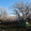 A lovely camp site not too far from Mt Fainter.