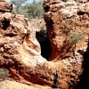 Gammon Waterfall. There is a solid wall of rock with this notch carved into it. The power of water - amazing. Many years ago I sat on a rock next to that little pool looking at a mummified goat (above the waterline. Below it was just bones). The result of the never ending battle to control feral goats in the area. I looked down at my feet - and there was an empty shell casing. I'm not sure what the lesson is in that? 