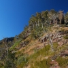 Heading up Helicopter Spur from the Howqua River to the range and (eventually) Mt Howitt.