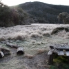 Very early spring at Cobungra Gap. A warm (ish) day and a clear night have produced a heavy dew that then froze solid overnight. Bitterly cold!