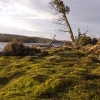 The shores of Lake Adelaide in The Walls of Jerusalem National Park.