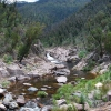 A river with a well know mountain behind. You can still see the bush has not recovered from recent fires.