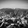 The view from The Jaithmathangs of the range that includes Feathertop.