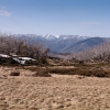 The view across the meadow from Tawonga Huts in summer.